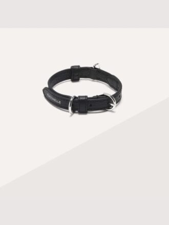 Accessoarer för husdjur