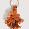 Coccinelle-blommor