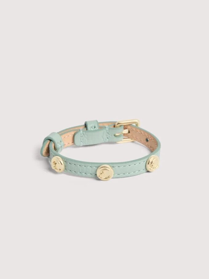 Coccinelle C-Me-örhängen