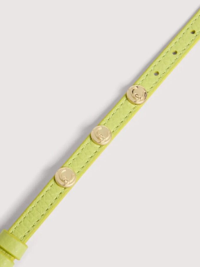 Coccinelle C-Me-örhängen