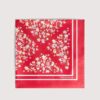 Coccinelle Sakura-blommor