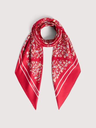 Coccinelle Sakura-blommor