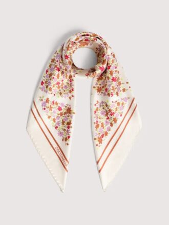 Coccinelle Sakura-blommor