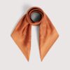 Coccinelle Shell