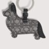 Pet Capsule